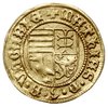 goldgulden, 1465-1470, Nagybanya, złoto 3.55 g, Huszar 674, Pohl K1-23