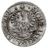 półgrosz koronny 1620, Bydgoszcz, bardzo rzadki, praktycznie we wszystkich katalogach niedoszacowany
