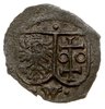 denar jednostronny bez daty, Wschowa, H-Cz. 1674 (R4), T.15, bardzo rzadki, patyna