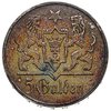 5 guldenów 1923, Utrecht, Kościół Marii Panny, Parchimowicz 65.a, tęczowa patyna, bardzo ładne