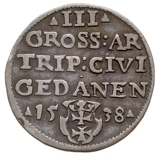 trojak 1538, Gdańsk, Iger G.39.1.g (R1), patyna