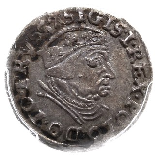 trojak 1539, Gdańsk, na awersie odmiana napisu PRVSS, Iger G.39.1.m (R1), moneta w pudełku PCGS z certyfikatem MS 62, bardzo ładny, patyna