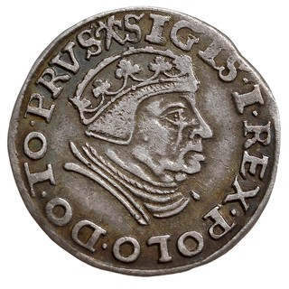 trojak 1539, Gdańsk, na awersie odmiana napisu PRVS i korona bez krzyżyka, Iger G.39.1.e (R1), patyna