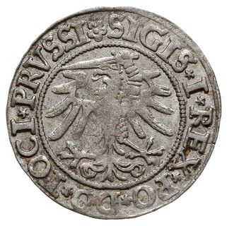 grosz 1533, Elbląg, odmiana napisu SIGIS I REX...
