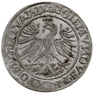 grosz 1535, Wilno, odmiana bez litery pod Pogonią, Ivanauskas 2S12-3, T. 7, rzadki