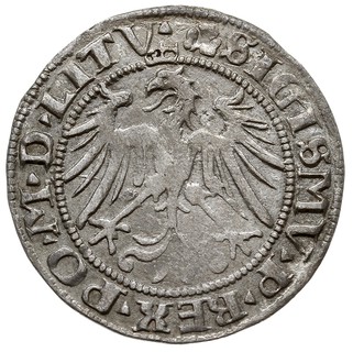 grosz 1536, Wilno, pod Pogonią najprawdopodobnie