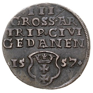 trojak 1557, Gdańsk, Iger G.57.2.b (R3), T. 3, c