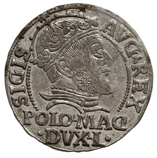 grosz na stopę polską 1547, Wilno, mniejsza głowa króla, Ivanauskas 5SA6-3, piękny blask menniczy