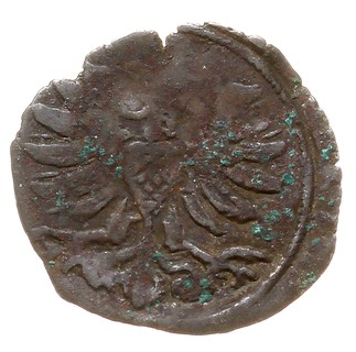 denar 1589, Wschowa, T. 20, mennicza wada krążka, rzadki, patyna