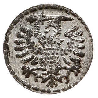 denar 1595, Gdańsk, piękny