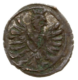 denar 1603, Poznań, korona wysoka, T. 3, patyna