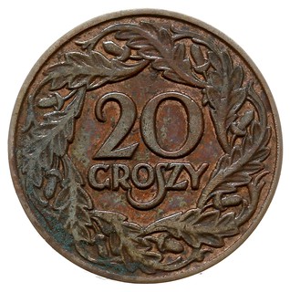 20 groszy 1938, Warszawa, brąz 2.85 g, nakład nieznany, Parchimowicz P-113, bardzo rzadkie, moneta z 12 aukcji GGN, patyna