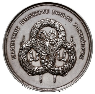 Towarzystwo Rolnicze w Królestwie Polskim -medal