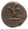 Pont, Amisos, 100-85 pne, AE-20, Aw: Głowa Zeusa w prawo, Rw: Orzeł stojący w lewo z głową zwrócon..