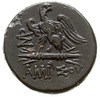 Pont, Amisos, 85-65 pne, AE-26, Aw: Głowa Zeusa w prawo, Rw: Orzeł stojący w lewo z głową zwróconą..
