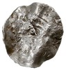 Maastricht?, naśladownictwo denara Henryka II, Aw: Niewyraźny rysunek głowy, Rw: Litery S / CAM / ..