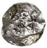 Maastricht?, naśladownictwo denara Henryka II, Aw: Niewyraźny rysunek głowy, Rw: Litery S / CAM / ..
