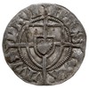 Paweł I Bellitzer von Russdorff 1422-1441, szeląg, MAGS-T XA-VIWS-PRVI / MONE-TA DN-ORVM-PRVC, Vos..