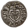 Marcin I Truchsess von Wetzhausen 1477-1489, szeląg, MAGIST MARTINV P / M MONETA DNORVM P, Voss. -..