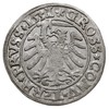 grosz 1531, Toruń, bardzo ładny