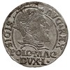 grosz na stopę polską 1547, Wilno, mniejsza głow