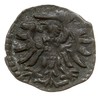 denar 1554, Gdańsk, T. 8, rzadki, ciemna patyna