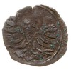 denar 1589, Wschowa, T. 20, mennicza wada krążka