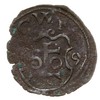 denar 1589, Wschowa, T. 20, mennicza wada krążka, rzadki, patyna