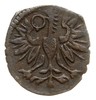 denar 1591, Wschowa, T. 20, rzadki, patyna, moneta z 12 aukcji WCN