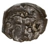 denar 1603, Wschowa, T. 30, mennicza wada krążka, rzadka moneta w pełni czytelna moneta z dużym bl..