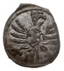 denar 1606, Poznań, T. 4, bardzo ładny, delikatna patyna