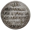 trojak 1535, Królewiec, odmiana napisu PRVSS, Ig
