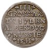 trojak 1541, Królewiec, Iger Pr.41.a (R), Neumann 43, patyna