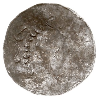 Saksonia /Sachsen/, zestaw denarów OAP (typy 3 i 4)