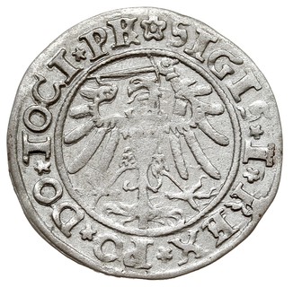 grosz 1534, Elbląg, na awersie odmiana napisu TO