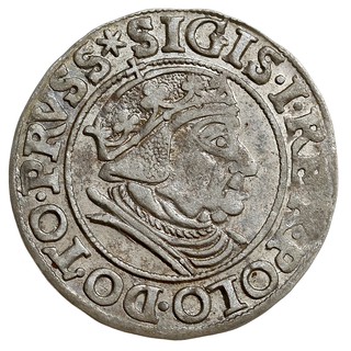 grosz 1538, Gdańsk, ładny połysk menniczy, delik