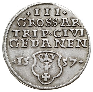 trojak 1557, Gdańsk, popiersie króla bez obwódki, Iger G.57.2.e (R3), T. 3, rzadki