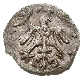 denar 1556, Wilno, Ivanauskas 2SA15-6, T. 5, patyna