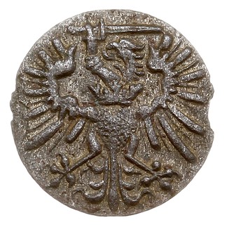 denar 1573, Gdańsk, kartusz tarczy herbowej z 7 łukami, T. 5, rzadki i ładnie zachowany, patyna