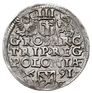trojak 1591, Poznań, Iger P.91.1.c, delikatna patyna