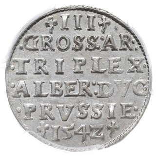 trojak 1542, Królewiec, Iger Pr.42.1.a (R), Neumann 43, moneta w pudełku PCGS z certyfikatem MS 62, pięknie zachowana