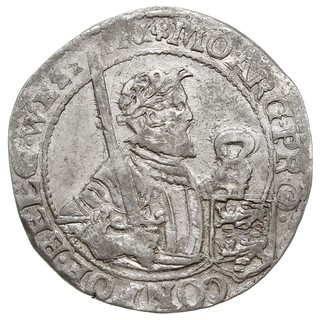 Półtalar /halve rijksdaalder/ 1620, srebro 13.43