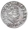 trojak 1539, Gdańsk, awers Iger G.39.1.e, rewers nie ujęty w katalogu Igera -bez ozdobników po bok..