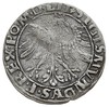 grosz 1535, Wilno, odmiana z literą N pod Pogonią, Ivanauskas 2S29-8, T. 7, rzadki