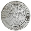 grosz 1536, Wilno, odmiana z literą F pod Pogonią, Ivanauskas 2S66-18, T. 7, rzadki, lekko niedobi..