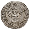 grosz 1556, Gdańsk, w napisie PRVSSI mała litera I, T. 4, ładny połysk menniczy, patyna