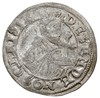 grosz oblężniczy 1577, Gdańsk, moneta z kawką na rewersie, wybita w czasie, gdy zarządcą mennicy b..