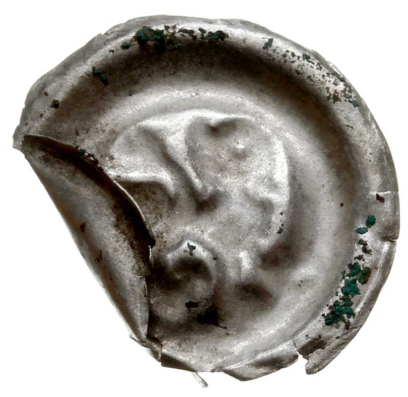 brakteat guziczkowy, koniec XIII w., Lew idący w lewo z głową zwróconą do tyłu i podwiniętym ogonem, Wieleń 189, srebro 0.16 g, zagięty i wykruszony