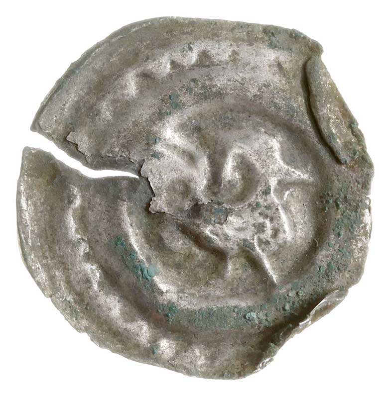 brakteat guziczkowy, koniec XIII w., Kogut idący w prawo, na kołnierzu perełki, Wieleń 150, srebro 0.17 g, spłaszczony, pęknięty