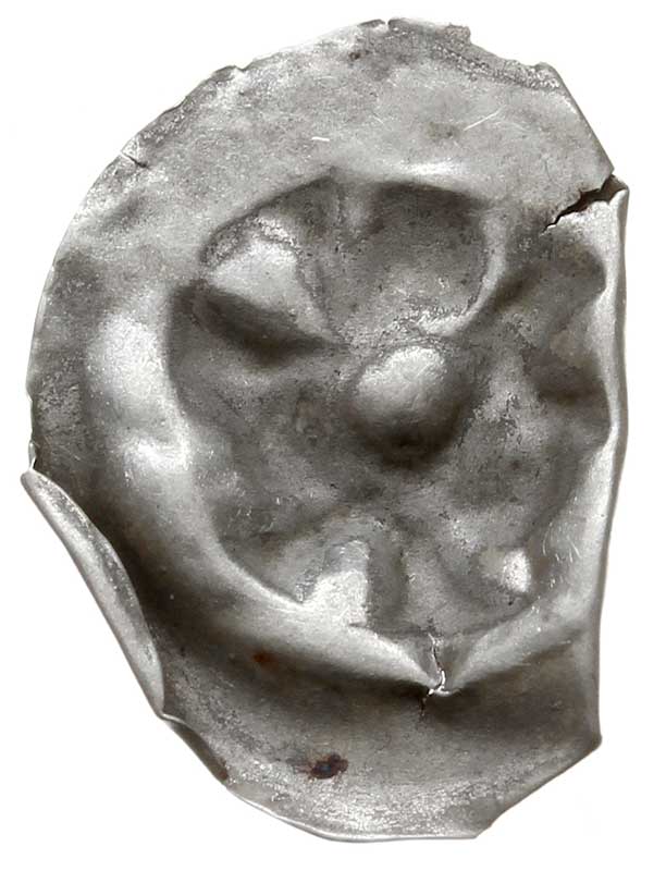 brakteat guziczkowy, koniec XIII w., Sześciopłatkowa róża z wypukłym środkiem, Wieleń 67, srebro 0.16 g, pomięty